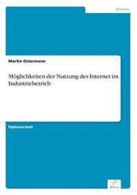 Möglichkeiten der Nutzung des Internet im Industriebetrieb