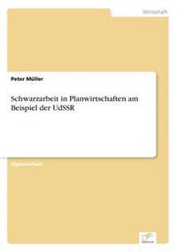 Schwarzarbeit in Planwirtschaften am Beispiel der UdSSR