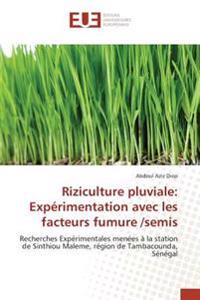 Riziculture pluviale: Expérimentation avec les facteurs fumure /semis