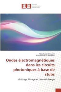 Ondes électromagnétiques dans les circuits photoniques à base de stubs