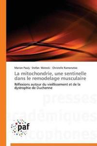 La Mitochondrie, Une Sentinelle Dans Le Remodelage Musculaire