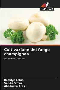Coltivazione del fungo champignon