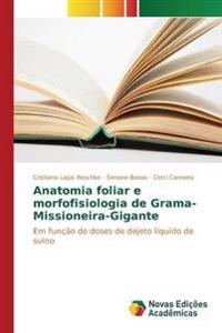 Anatomia foliar e morfofisiologia de Grama-Missioneira-Gigante