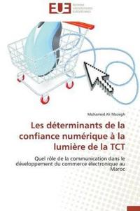 Les D?terminants de la Confiance Num?rique ? La Lumi?re de la Tct