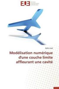 Mod?lisation Num?rique d'Une Couche Limite Affleurant Une Cavit?