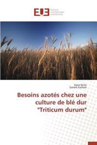Besoins azotés chez une culture de blé dur "Triticum durum"