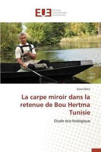 La Carpe Miroir Dans La Retenue de Bou Hertma Tunisie