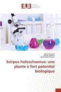 Scirpus holoschoenus: une plante à fort potentiel biologique