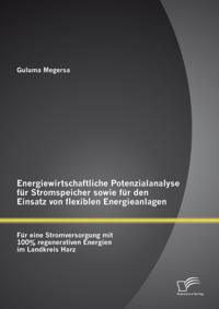 Energiewirtschaftliche Potenzialanalyse fur Stromspeicher sowie fur den Einsatz von flexiblen Energieanlagen: Fur eine Stromversorgung mit 100% regenerativen Energien im Landkreis Harz