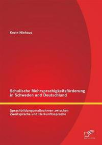 Schulische Mehrsprachigkeitsförderung in Schweden und Deutschland