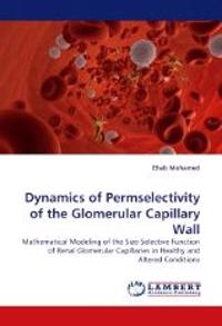 Dynamics of Permselectivity of the Glomerular Capillary Wall