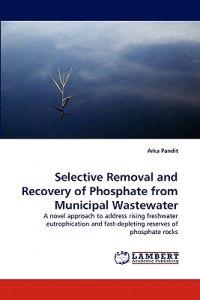 Selective Removal and Recovery of Phosphate from Municipal Wastewater