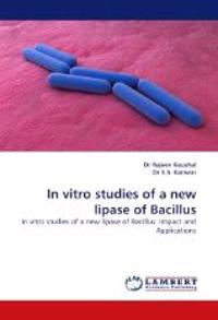 In Vitro Studies of a New Lipase of Bacillus