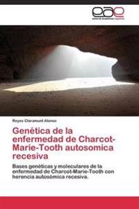 Genética de la enfermedad de Charcot-Marie-Tooth autosomica recesiva