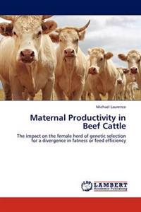 Maternal Productivity in Beef Cattle