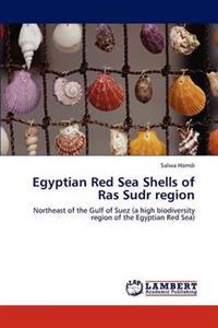 Egyptian Red Sea Shells of Ras Sudr region