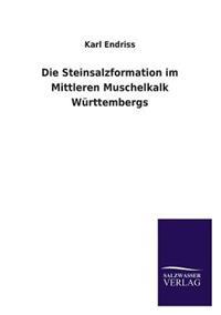 Bokomslag för "Die Steinsalzformation im Mittleren Muschelkalk Württembergs"