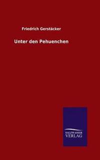Unter den Pehuenchen