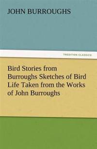 Bird Stories from Burroughs Sketches of Bird Life Taken from the Works of John Burroughs