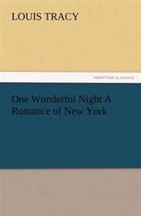 One Wonderful Night a Romance of New York