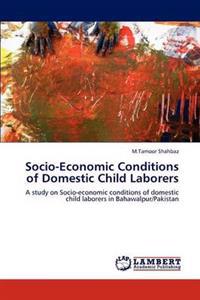Socio-Economic Conditions of Domestic Child Laborers