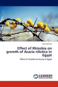 Effect of Rhizobia on Growth of Acacia Nilotica in Egypt