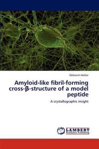 Amyloid-like fibril-forming cross-β-structure of a model peptide
