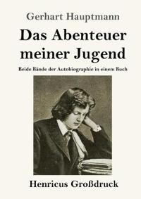 Das Abenteuer meiner Jugend (Großdruck)