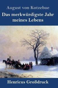 Das merkwürdigste Jahr meines Lebens (Großdruck)