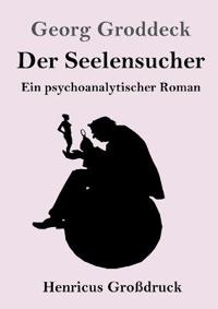 Der Seelensucher (Großdruck)