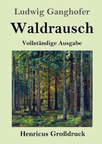Waldrausch (Großdruck)