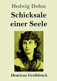 Schicksale einer Seele (Großdruck)