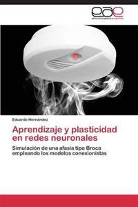 Aprendizaje y Plasticidad En Redes Neuronales