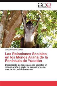 Las Relaciones Sociales En Los Monos Arana de La Peninsula de Yucatan