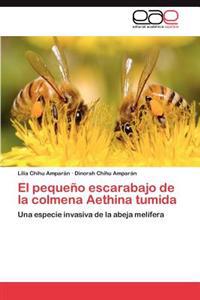 El Pequeno Escarabajo de La Colmena Aethina Tumida