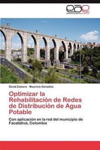 Optimizar La Rehabilitacion de Redes de Distribucion de Agua Potable