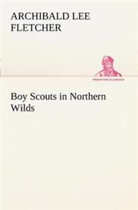 Boy Scouts in Northern Wilds
