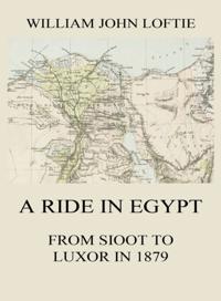Ride in Egypt