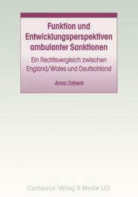 Funktion und Entwicklungsperspektiven ambulanter Sanktionen