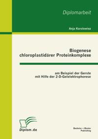 Biogenese chloroplastidarer Proteinkomplexe am Beispiel der Gerste mit Hilfe der 2-D-Gelelektrophorese