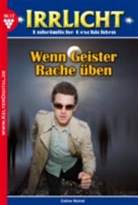 Irrlicht 17 – Mystikroman