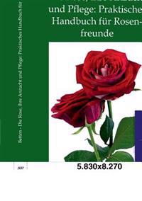 Die Rose, ihre Anzucht und Pflege