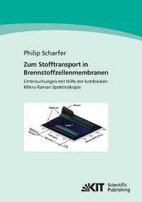 Zum Stofftransport in Brennstoffzellenmembranen