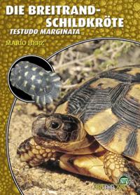 Die Breitrandschildkröte