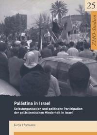 Palästina in Israel: Selbstorganisation Und Politische Partizipation Der Palästinensischen Minderheit in Israel