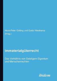 Immaterialg?terrecht. Das Verh?ltnis von Geistigem Eigentum und Menschenrechten.