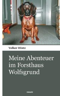 Meine Abenteuer im Forsthaus Wolfsgrund