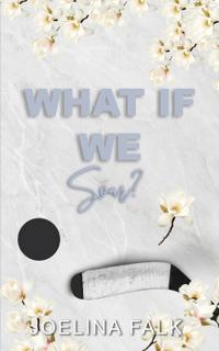 What If We Soar? (Alternate Cover)