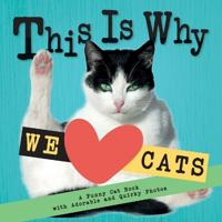 This Is Why We Love Cats