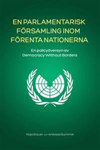 En Parlamentarisk Församling Inom Förenta Nationerna: En policyöversyn av Democracy Without Borders